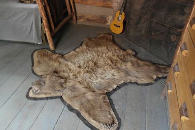 hunting lodge bear rug